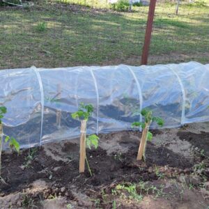 Kiletunnel metallkaartega