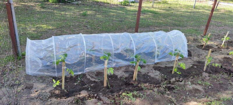 Kiletunnel metallkaartega