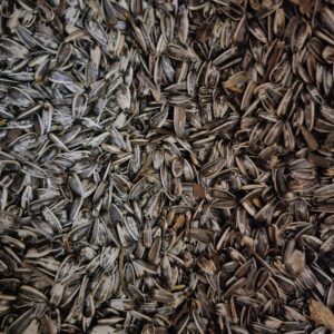 Päevalilleseemned aia- ja metsalindudele triibulised 15kg