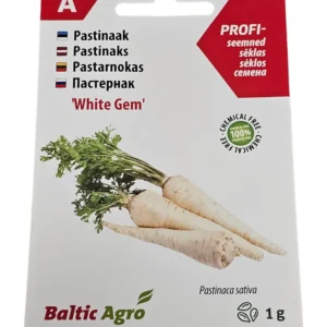 Pastinaak,Pastinaak White Gem