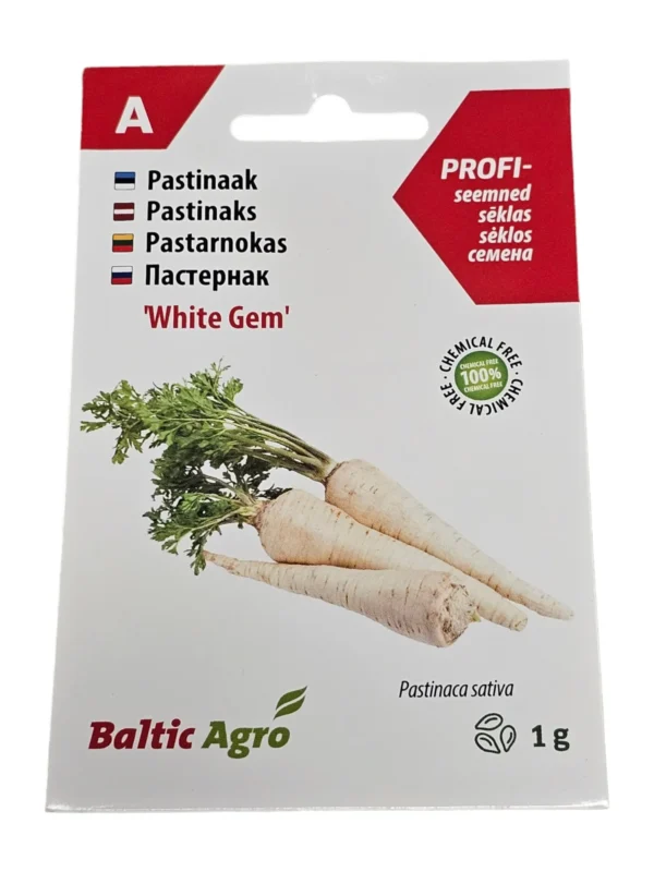 Pastinaak,Pastinaak White Gem