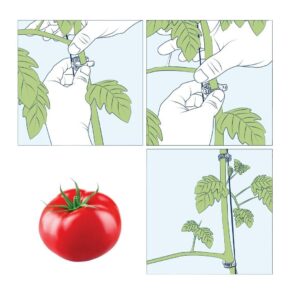 Mounting brackets RING 23mm for plants 20pcs