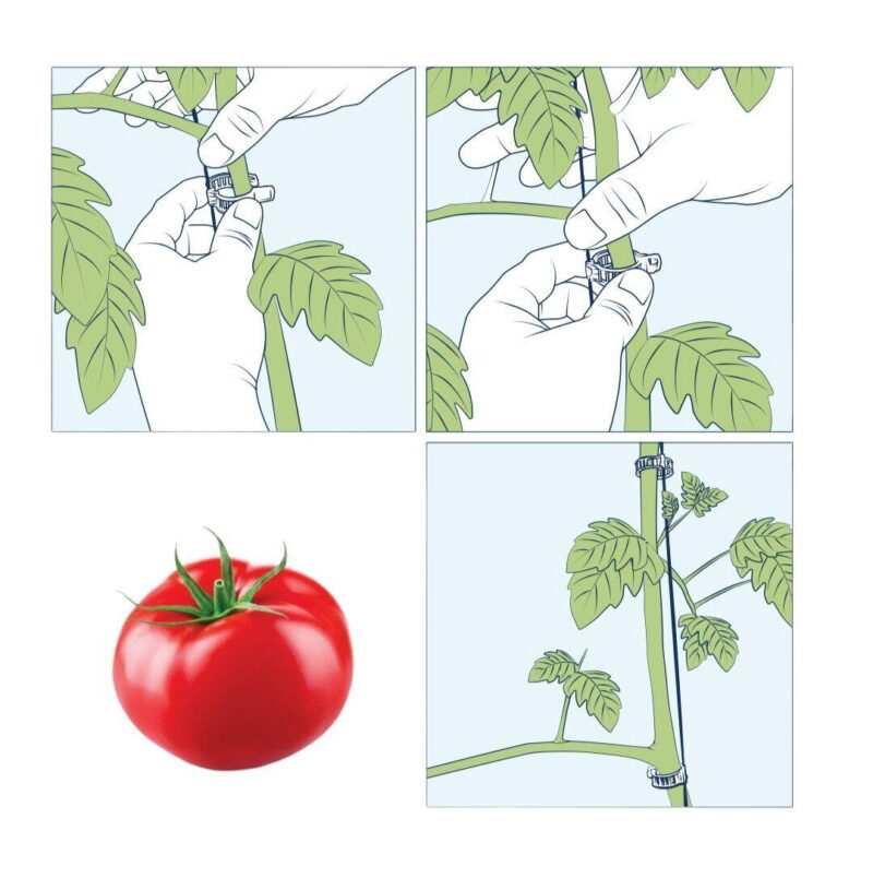 Mounting brackets RING 23mm for plants 20pcs