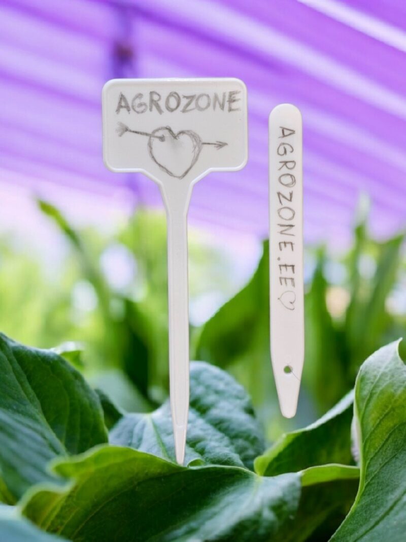 2024/06/1000018512.jpg Пластиковые этикетки белого цвета, 15 штук