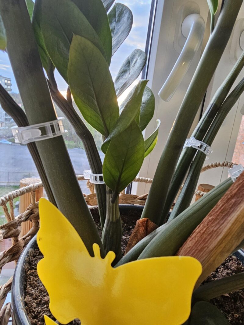 Mounting brackets RING 23mm for plants 20pcs