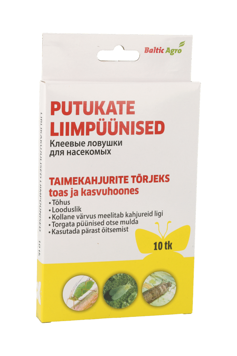 Putukate liimpüünis liblikakujuline 10tk
