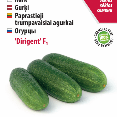 Cucumber 'Conductor' F1