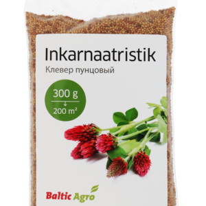 inkarnaatristik Inkarnaatristik 300g