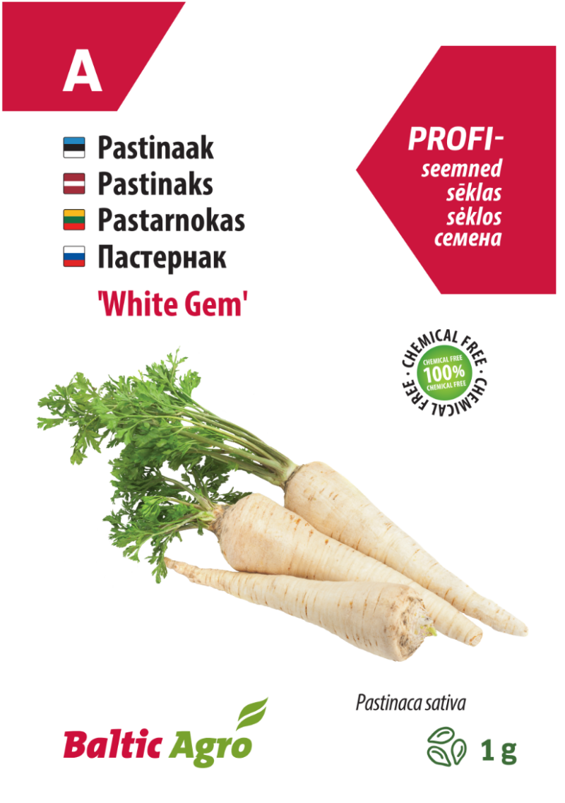 pastinaak white gem Pastinaak,Pastinaak White Gem