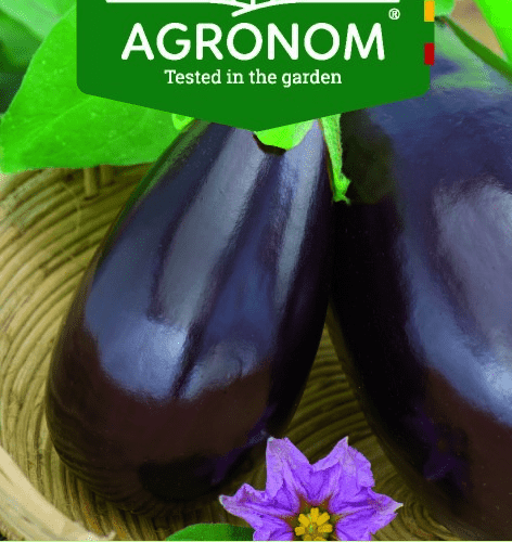 Baklažaan BLACK BEAUTY