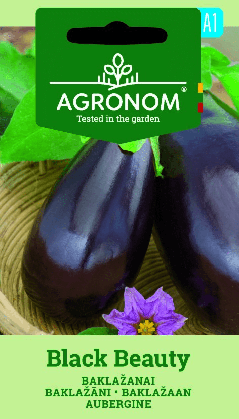 Baklažaan BLACK BEAUTY