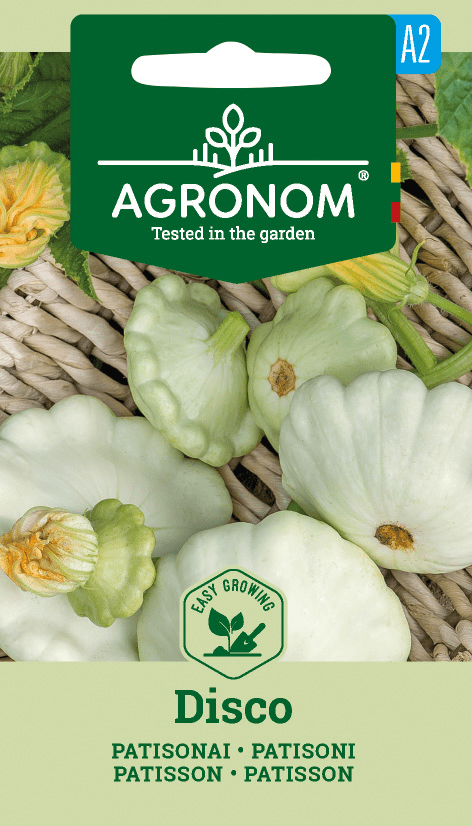 477016812709_1.png Patisson DISCO