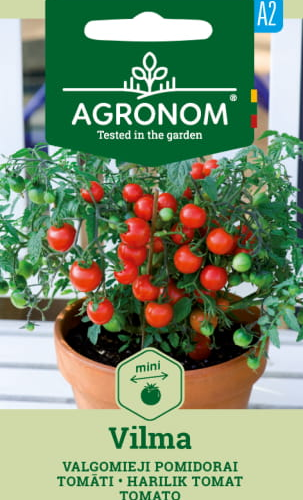 TOMAATTI VILMA