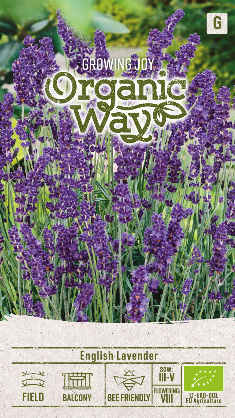 4770168151451.png TÄHKLAVENDEL