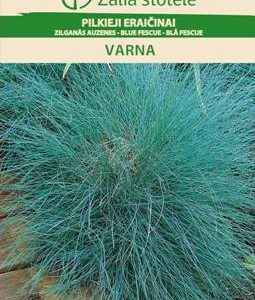 4770168212107.png Aedtill ‘Mammut’