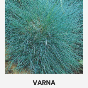 4770168212107_2.png ARUHEIN HALL