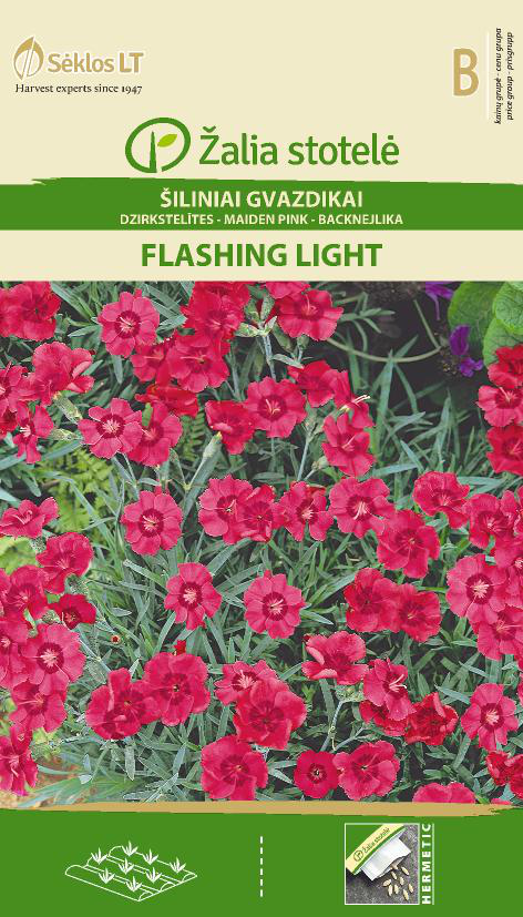 Гвоздика травянка "Flashing Light"