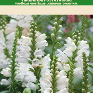 4770168223509.png Garden border 4cm x 10m