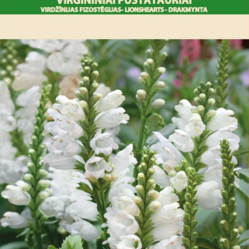 4770168223509.png Ghost Tupik Virginia