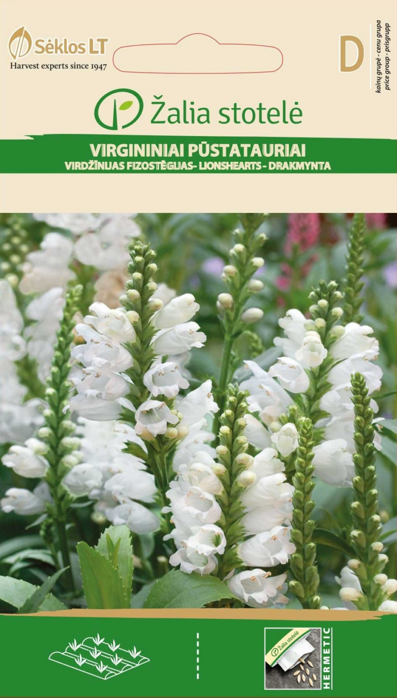 4770168223509.png Tonditupik Virginia