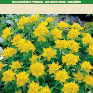 4770168225404.png Persian clover 1 kg