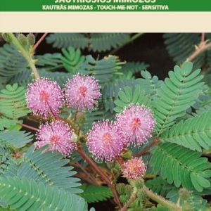 4770168240308.png Aedtill ‘Mammut’