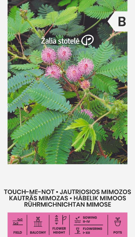 HÄBELIK,МИМОЗА СТЫДЛИВАЯ