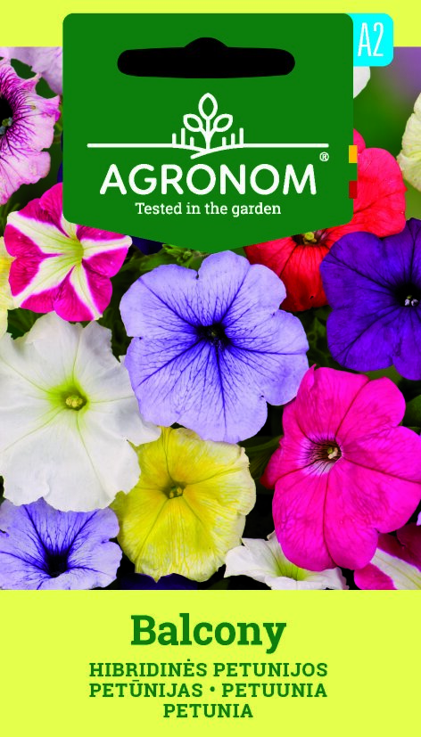 Petuunia BALCONY