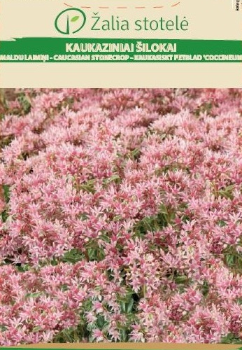 4770168272217.png KUKEHARI ROOMAV