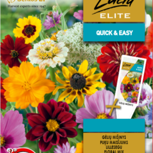 LILLEDE SEEMNESEGU (SEEMNELINT)