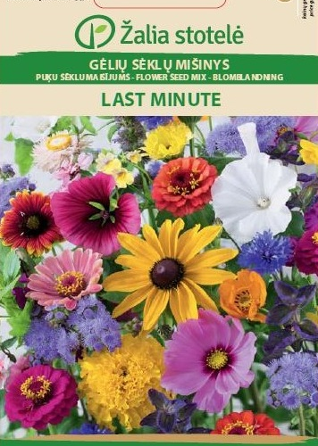 4770168281196.png FLOWER SEED MIX LAST MINUTE