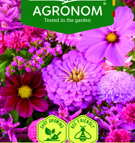 LILLEDE SEEMNESEGU DREAM PINK-RED