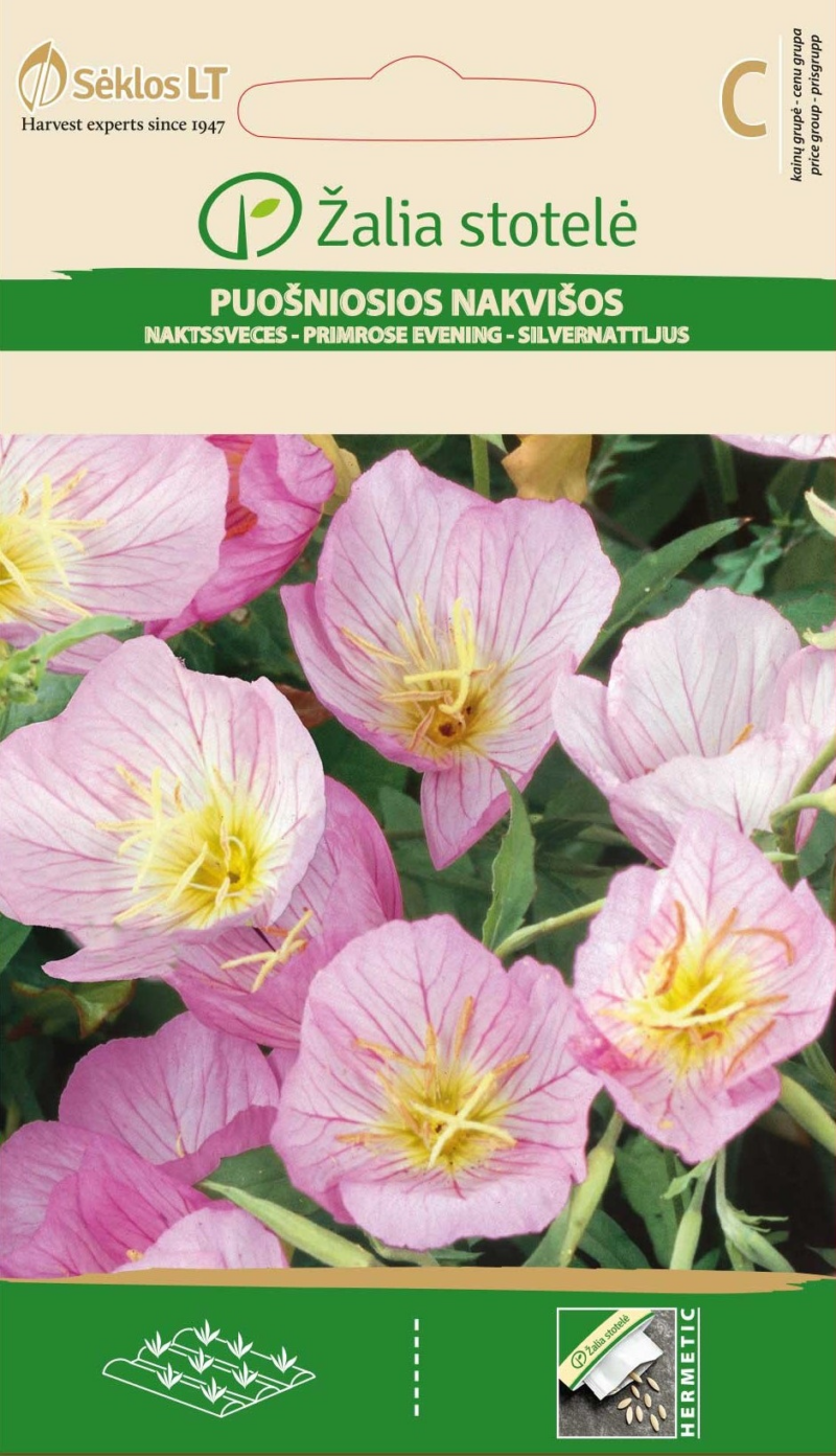 4770168292123.png KUNINGAKEPP