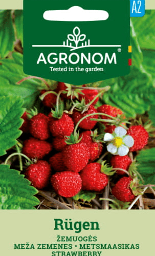 477016832909_1.png Wild strawberry RUGEN