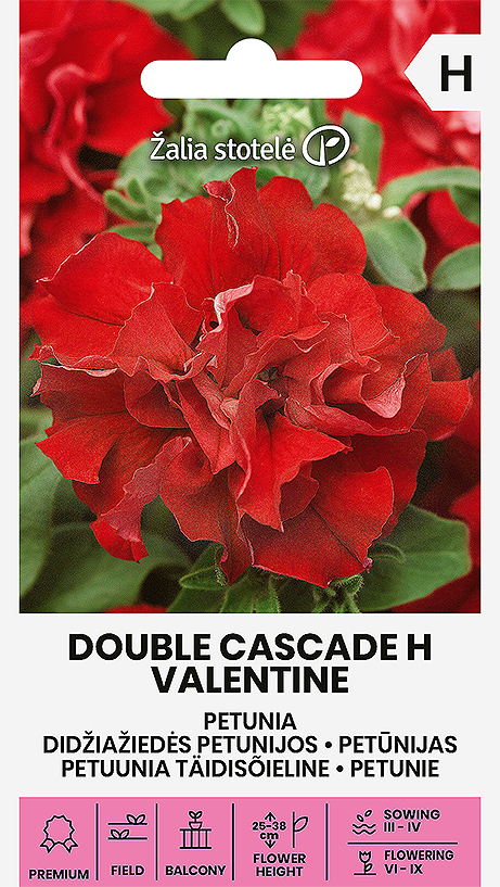 4770168917415.png Petuunia DOUBLE CASCADE H VALENTINE