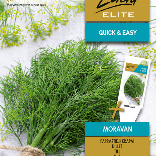 4770168917934.png TILL MORAVAN (SEEMNELINT)