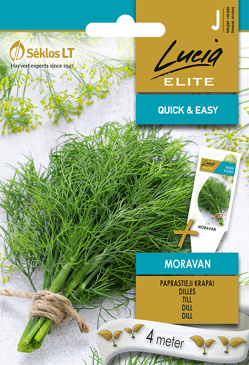 TILL MORAVAN (SEEMNELINT)