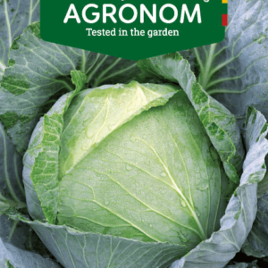 White cabbage BRUNSWICK