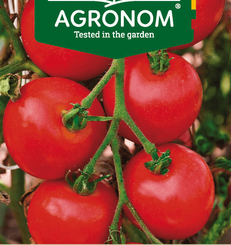 477016891988_1.png TOMATO MONEYMAKER