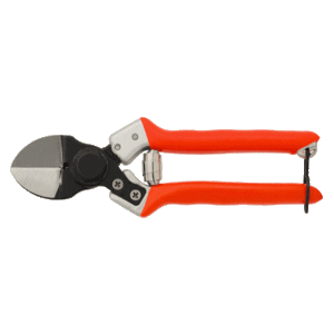 B12-P-copia-1-e1593587829252-900x661-1.gif KNOT SCISSORS B12