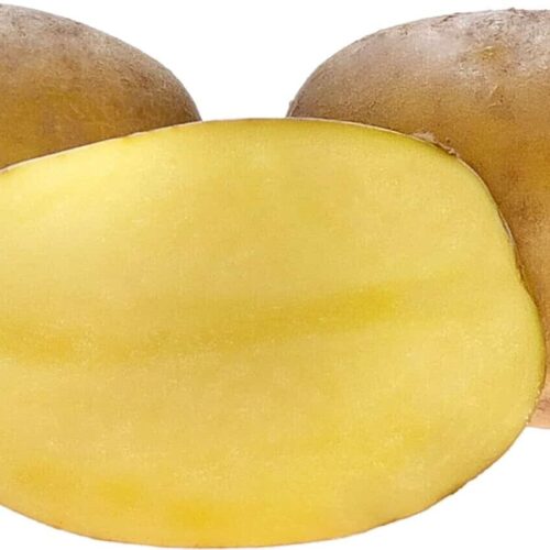 Seed potatoes Paroli 5kg