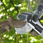 KNOT SCISSORS UNIVERSALE