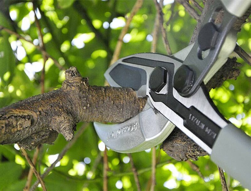 Сучкорезы TUCANO C80