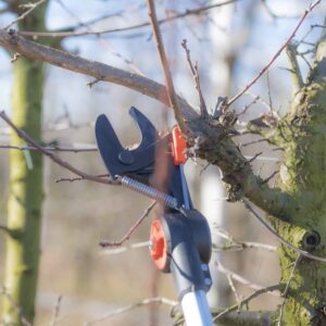 Ножницы Tucano XL