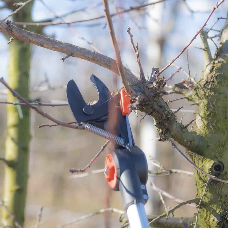 Ножницы Tucano XL