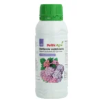 Hortensia vedelväetis 500ml