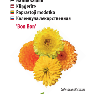 saialill ‘bon bon’ Calendula 'Bon Bon'