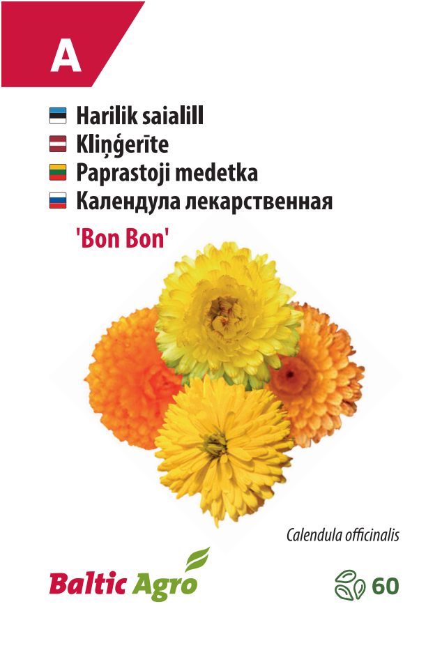 saialill ‘bon bon’ Calendula 'Bon Bon'
