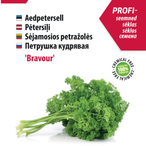 Parsley 'Bravour'