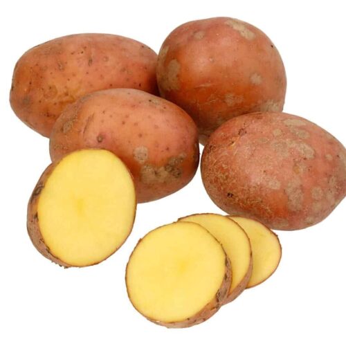 Seed potatoes Laura 5kg